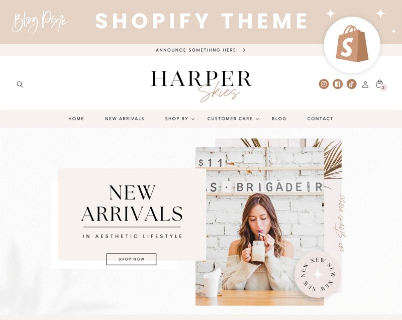 Shopify theme template minimal aesthetic